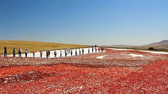 Kurutmalık Domateslerle Hem Elazığ Haritası, hemde Ay-Yıldız Oluşturuldu