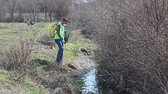 Elazığ Belediyesi'nden Larva İle Mücadele