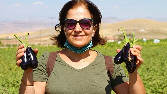 Marketlerdeki fahiş fiyata kızdı, tarlasını vatandaşlara açtı