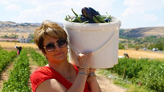 Marketlerdeki fahiş fiyata kızdı, tarlasını vatandaşlara açtı