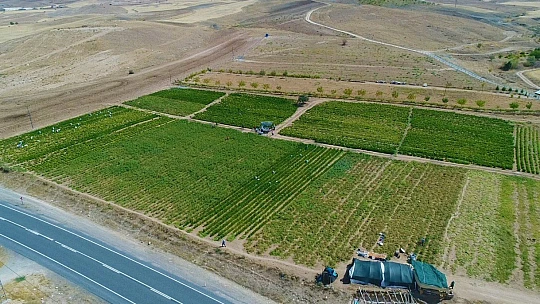 Marketlerdeki fahiş fiyata kızdı, tarlasını vatandaşlara açtı