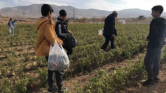 Marketlerdeki fiyata kızdı, 20 dönümlük sebze tarlasını vatandaşlara ücretsiz açtı