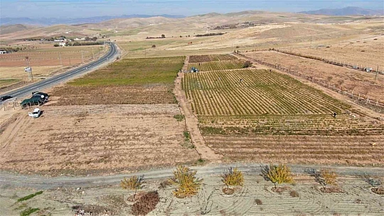 Marketlerdeki fiyata kızdı, 20 dönümlük sebze tarlasını vatandaşlara ücretsiz açtı