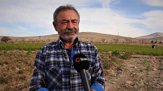 Marketlerdeki fiyata kızdı, 20 dönümlük sebze tarlasını vatandaşlara ücretsiz açtı