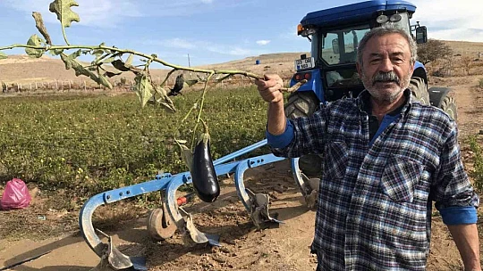 Marketlerdeki fiyata kızdı, 20 dönümlük sebze tarlasını vatandaşlara ücretsiz açtı