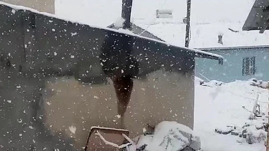 Mart ayında Elazığ'a lapa lapa kar yağdı