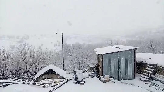 Mart ayında Elazığ'a lapa lapa kar yağdı