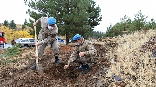 Mehmetçik, şehit ve depremde hayatını kaybedenler için bin fidan dikti
