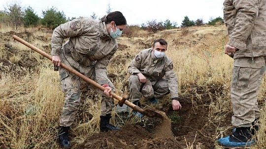 Mehmetçik, şehit ve depremde hayatını kaybedenler için bin fidan dikti