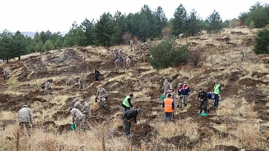 Mehmetçik, şehit ve depremde hayatını kaybedenler için bin fidan dikti
