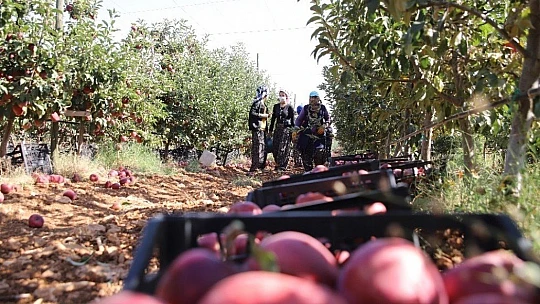 Memurluğu bıraktı, modern tarımla kendi işinin patronu oldu