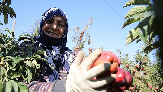 Memurluğu bıraktı, modern tarımla kendi işinin patronu oldu