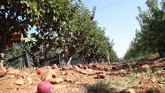 Memurluğu bıraktı, modern tarımla kendi işinin patronu oldu