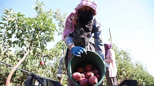 Memurluğu bıraktı, modern tarımla kendi işinin patronu oldu