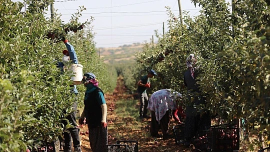 Memurluğu bıraktı, modern tarımla kendi işinin patronu oldu