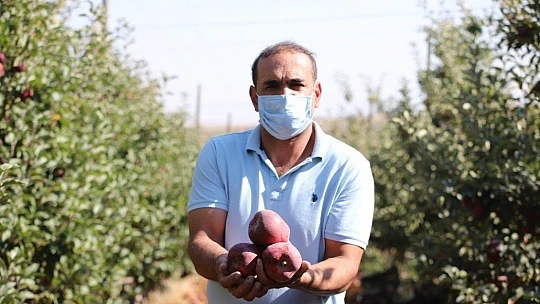 Memurluğu bıraktı, modern tarımla kendi işinin patronu oldu