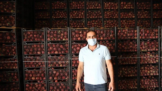 Memurluğu bıraktı, modern tarımla kendi işinin patronu oldu