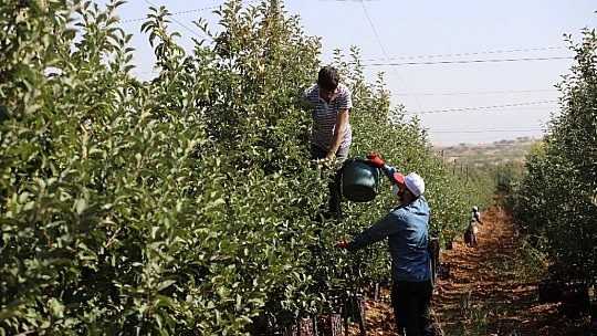 Memurluğu bıraktı, modern tarımla kendi işinin patronu oldu