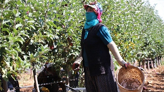 Memurluğu bıraktı, modern tarımla kendi işinin patronu oldu