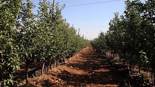 Memurluğu bıraktı, modern tarımla kendi işinin patronu oldu