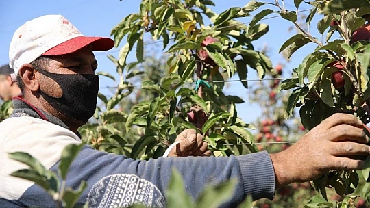 Memurluğu bıraktı, modern tarımla kendi işinin patronu oldu