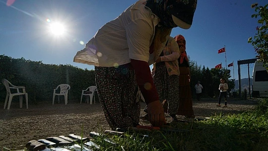 Mevsimlik işçilerin güneşin altında zorlu mesaisi
