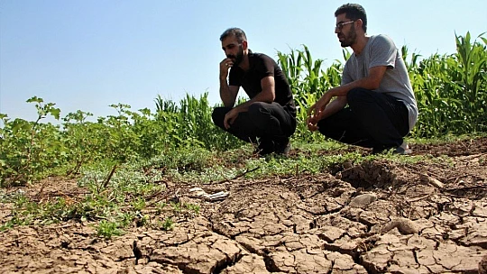 Murat Nehri'nde sular çekildi, tarım başladı