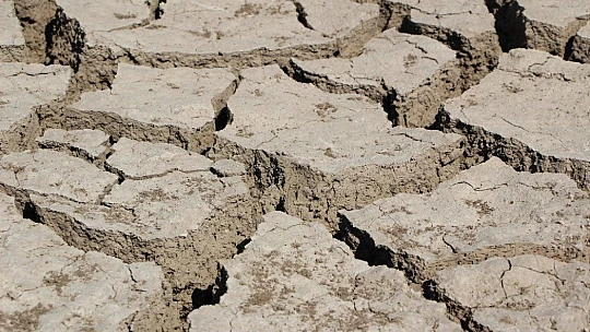 Murat Nehri'nde sular çekildi, tarım başladı