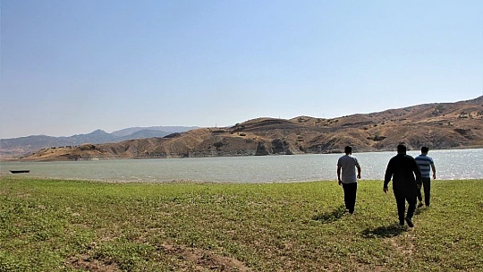 Murat Nehri'nde sular çekildi, tarım başladı