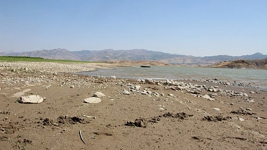 Murat Nehri'nde sular çekildi, tarım başladı