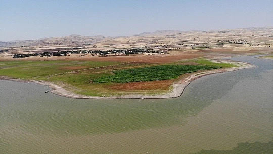 Murat Nehri'nde sular çekildi, tarım başladı