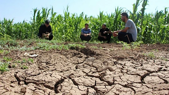 Murat Nehri'nde sular çekildi, tarım başladı