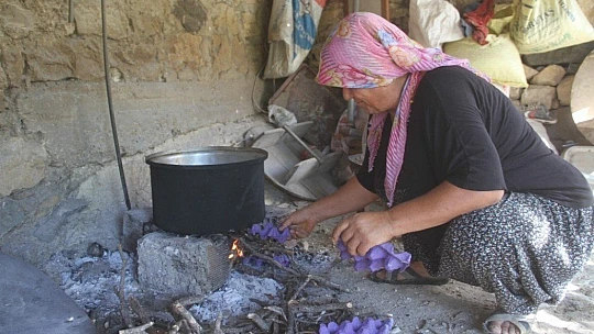 Nohudun meşe ateşinde başlayan yolculuğu