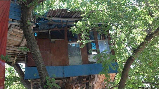 Nusret dede, Covid-19'dan ağaç evi ile korunuyor