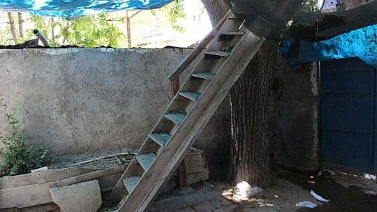 Nusret dede, Covid-19'dan ağaç evi ile korunuyor