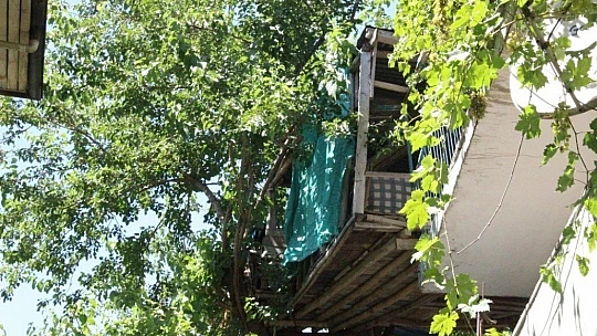 Nusret dede, Covid-19'dan ağaç evi ile korunuyor