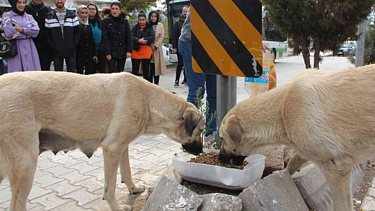 Öğrencilerden anlamlı proje, Şehit Fethi Sekin utulmadı