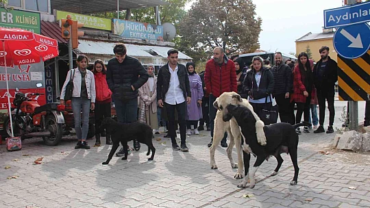 Öğrencilerden anlamlı proje, Şehit Fethi Sekin utulmadı