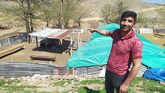 Öğretmen kayıp kuzu ve koçlara sahip çıktı, sahibini arıyor