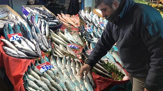 Olumsuz hava koşulları ve artan maliyetler balık fiyatlarına yansıdı