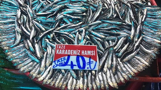 Olumsuz hava koşulları ve artan maliyetler balık fiyatlarına yansıdı