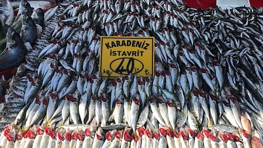 Olumsuz hava koşulları ve artan maliyetler balık fiyatlarına yansıdı