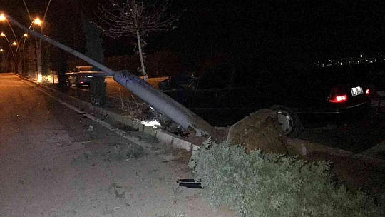 Otomobil aydınlatma direğini ve ağacı devirdi: 1 yaralı