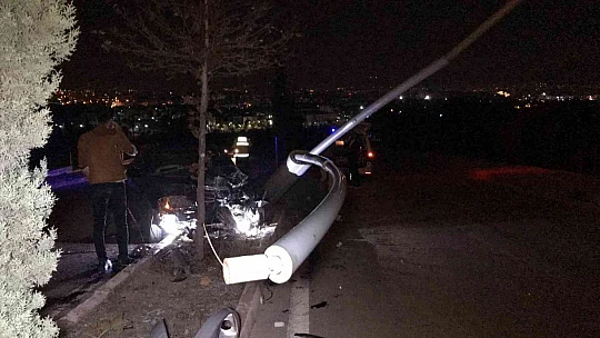 Otomobil aydınlatma direğini ve ağacı devirdi: 1 yaralı