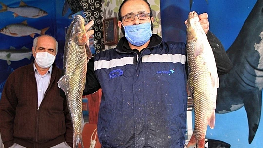 Pandemi ile birlikte talepler değişti, balıklar pişirilerek evlere servis edilmeye başlandı