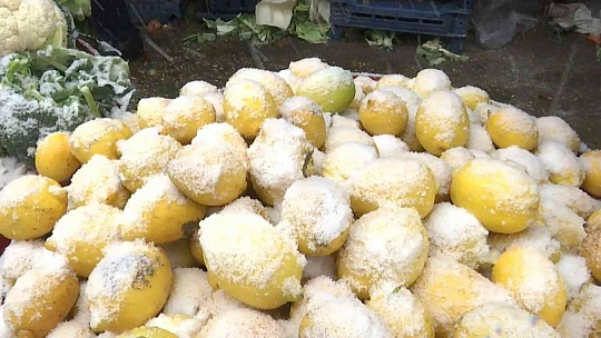 Pazarcı esnafının dondurucu soğukta zorlu ekmek mücadelesi