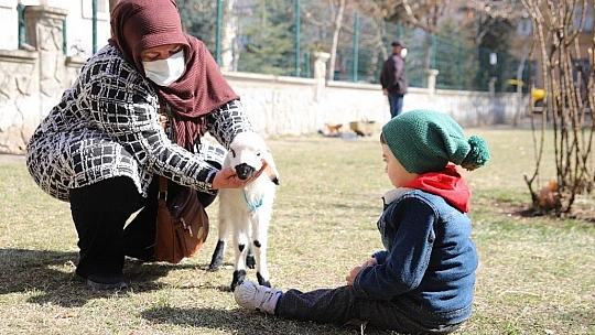 Sahiplendiği kuzu, hem evinin neşesi, hem de terapisi oldu