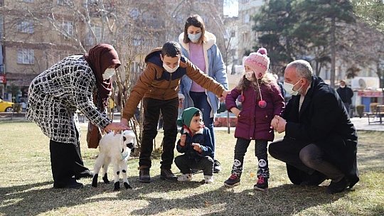Sahiplendiği kuzu, hem evinin neşesi, hem de terapisi oldu