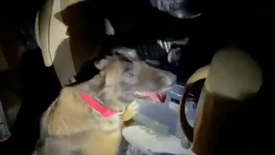 Sahte hasta nakil aracıyla uyuşturucu sevkiyatı: 23 kilo esrar ele geçirildi