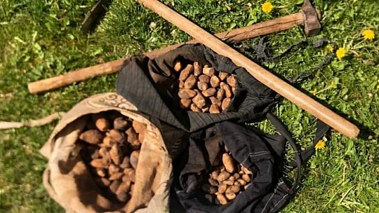 Salep soğanı toplayan 8 kişiye 872 bin lira ceza